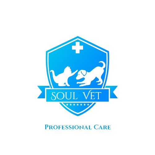 Cabinet Veterinar Soulvet - <nil>