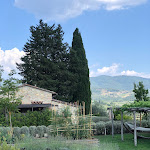 Photo n°10 de l'avis de Scott.e fait le 23/08/2023 à 11:10 sur le  Borgo Del Cabreo à Greve in Chianti