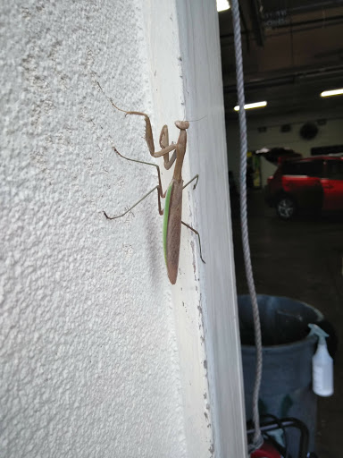 Car Dealer «Super Car Guys East», reviews and photos, 1633 N Rock Rd, Wichita, KS 67206, USA