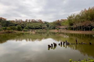 靜思湖 image