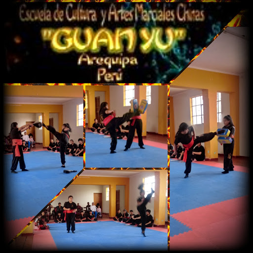 Kung Fu Wushu Escuela de Cultura y Artes Marciales Chinas 