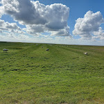 Photo n°1 de l'avis de frozzel. fait le 16/08/2022 à 20:34 sur le  Fährmannssand à Wedel