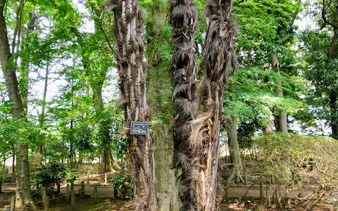 Hyakujuen Park image