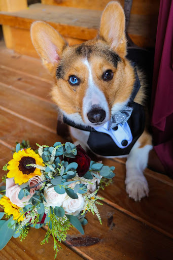 Florist «Heritage Flowers», reviews and photos, 237 Main St, Lakeville, MA 02347, USA