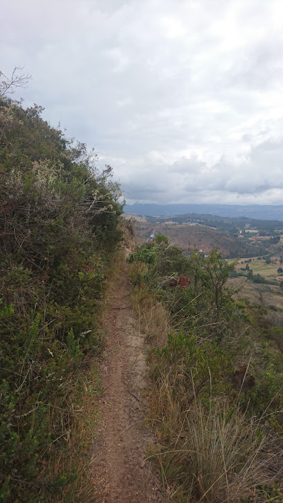 BOSQUE NATIVO EL HATILLO