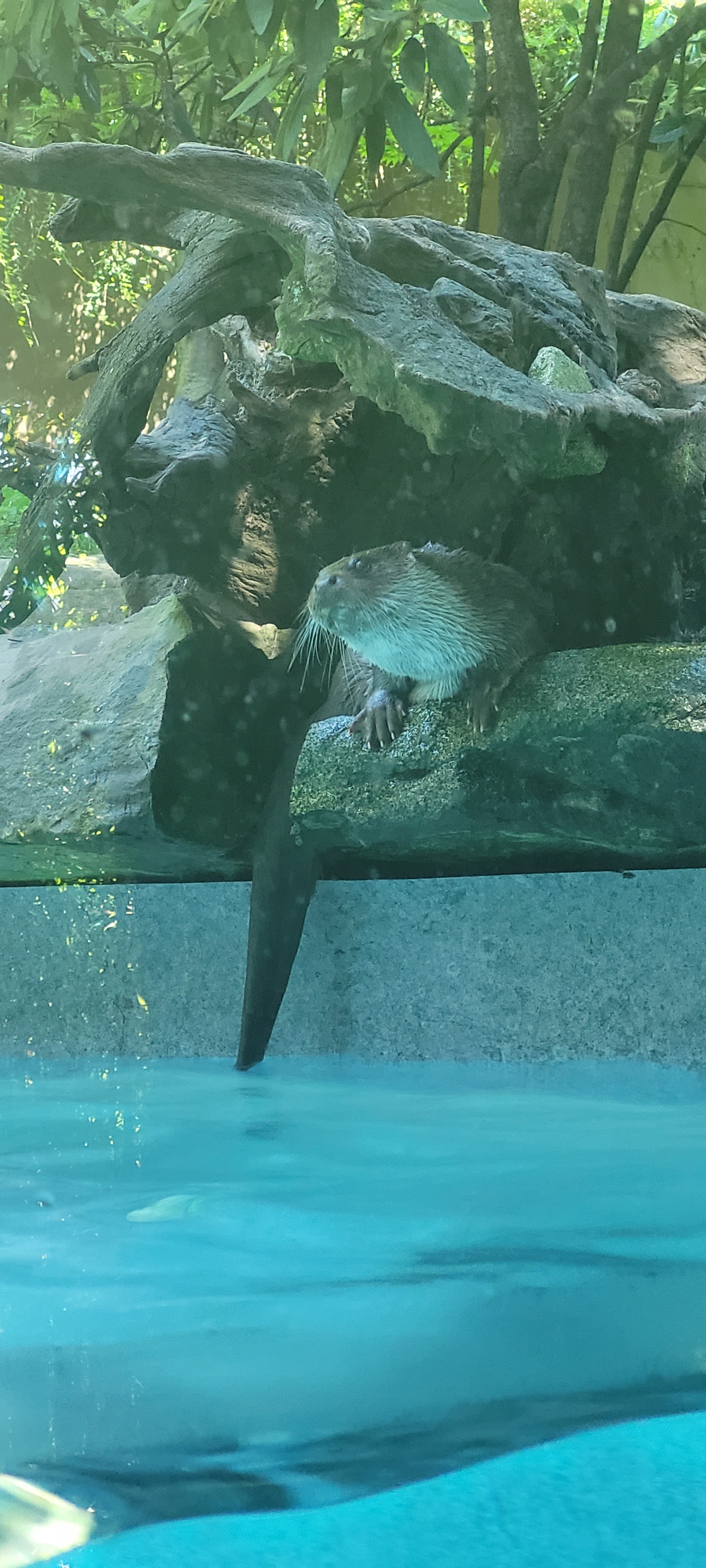 Photo n° 5 de l'avis de Francoise.i fait le 13/07/2022 à 21:54