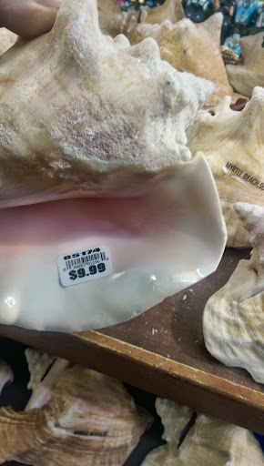 Swimwear Store «Wings Beachwear - Myrtle Beach # 024», reviews and photos, 5700 S Kings Hwy, Myrtle Beach, SC 29575, USA