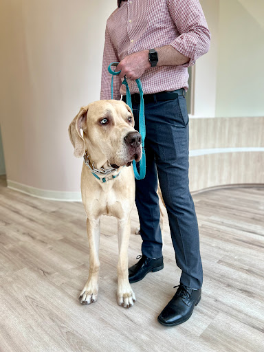 Petfolk Veterinary & Urgent Care - Cary image