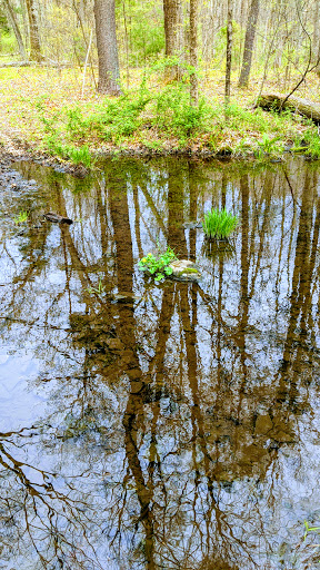 Park «Ellsworth McAfee Park», reviews and photos, 363 South St, Northborough, MA 01532, USA