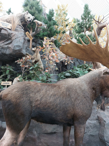 Sporting Goods Store «SCHEELS», reviews and photos, 1200 Scheels Drive, Sparks, NV 89434, USA