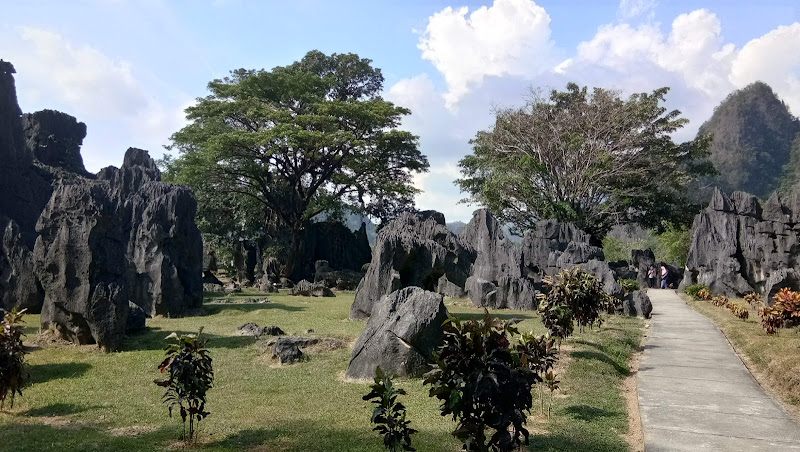 Keindahan Taman Nasional di Indonesia: Menjelajahi 15 Tempat yang Menakjubkan