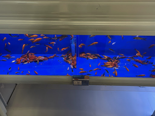 Pet Supply Store «PetSmart», reviews and photos, 14025 SW 88th St, Miami, FL 33186, USA