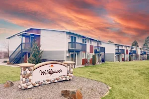 Wildflower Apartments image