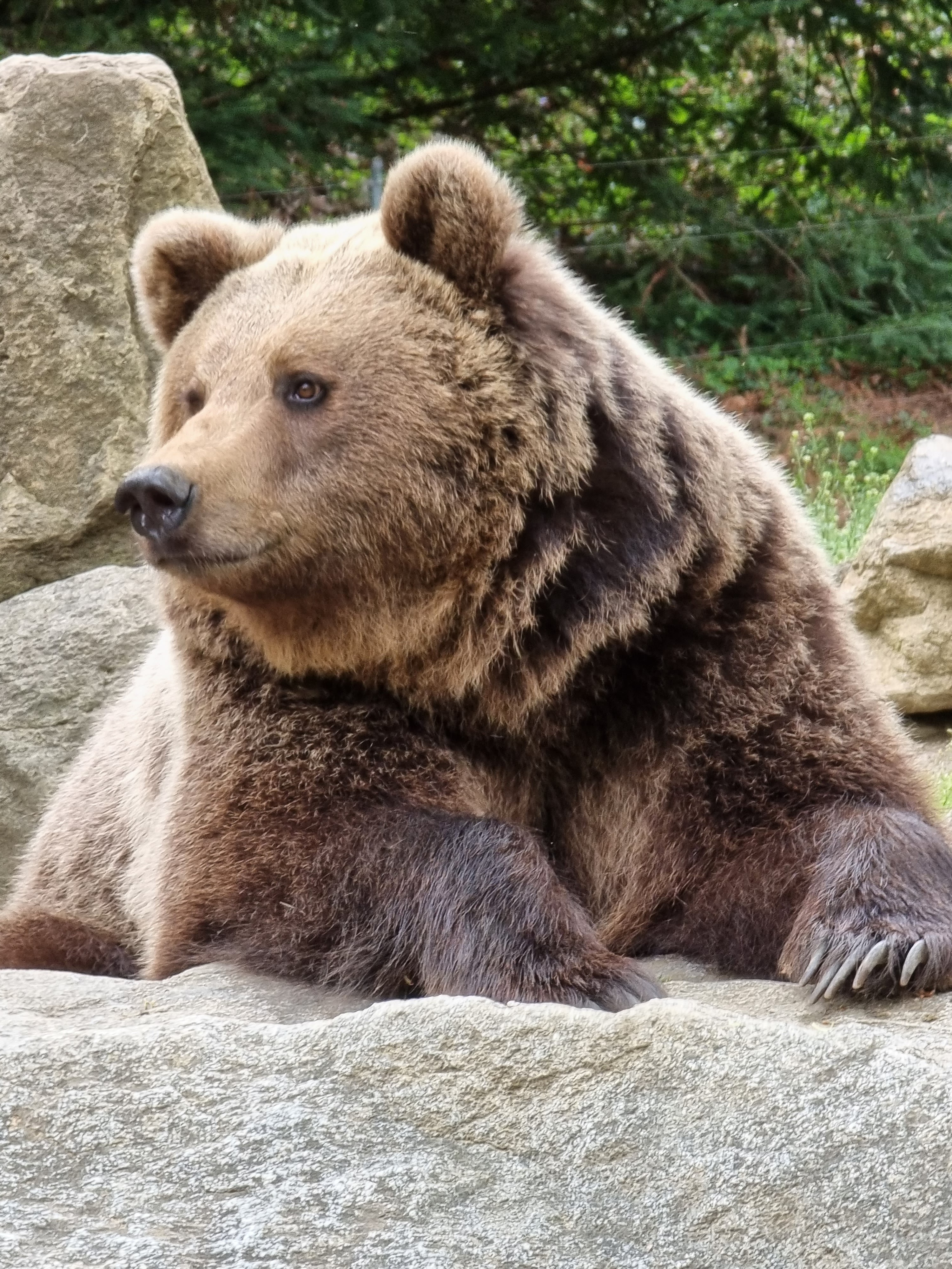 Photo n° 9 de l'avis de Noel.l fait le 12/04/2022 à 13:30