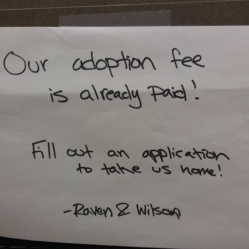 Pet Supply Store «Petco Animal Supplies», reviews and photos, 2705 Federated Blvd, Columbus, OH 43235, USA
