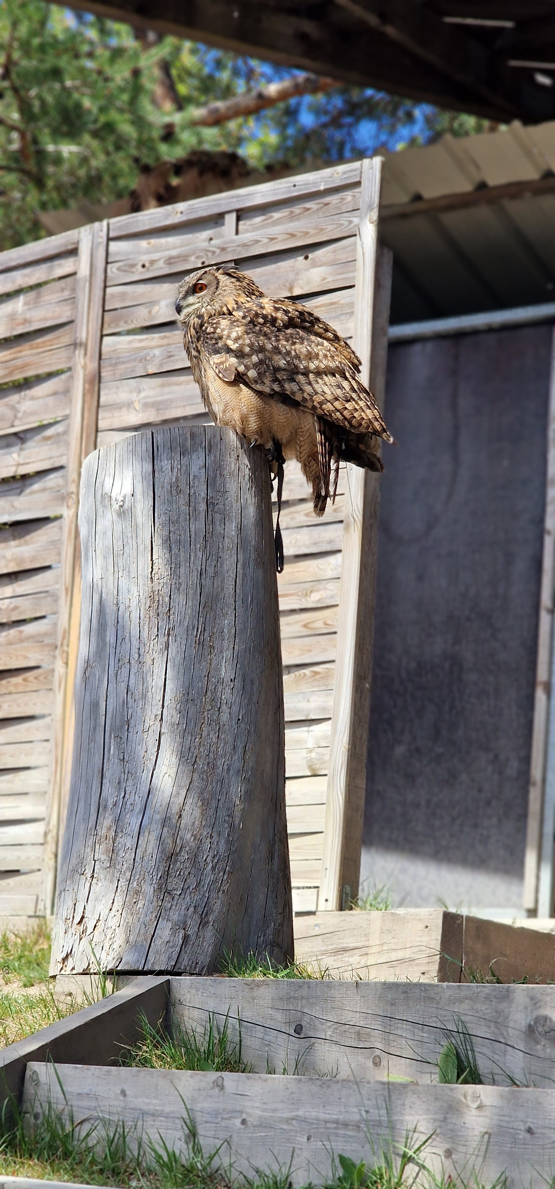 Photo n° 1 de l'avis de jean-philippe. fait le 02/05/2023 à 16:27