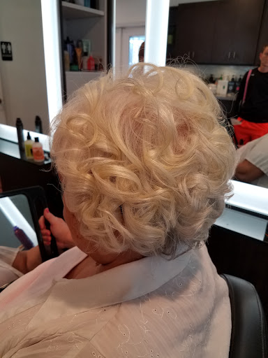 Hair Salon «Retro Salon Studios», reviews and photos, 8557 W Linebaugh Ave, Tampa, FL 33625, USA