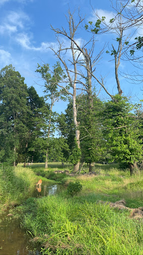 Public Golf Course «Algonkian Golf Course», reviews and photos, 47001 Fairway Dr, Sterling, VA 20165, USA