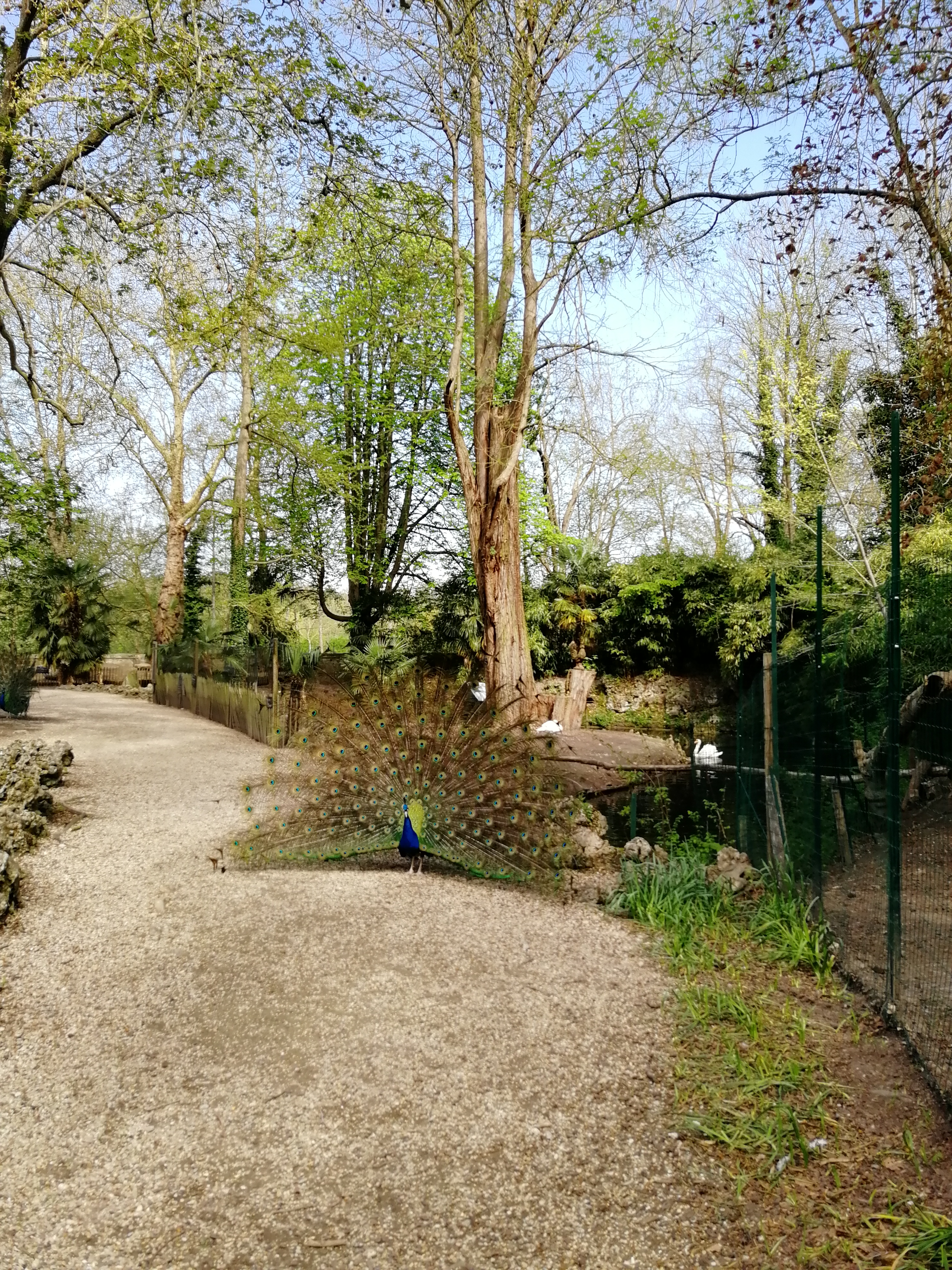 Photo n° 1 de l'avis de NathalieMac. fait le 22/04/2019 à 08:01