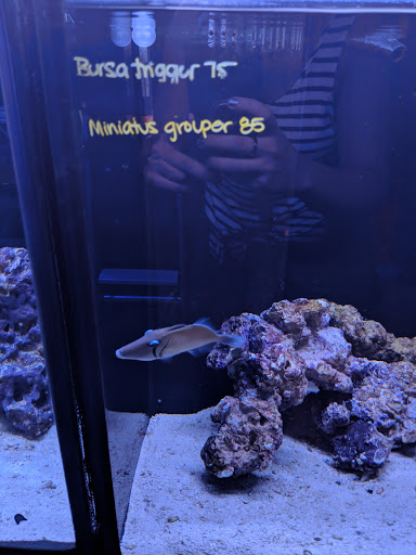 Tropical Fish Store «Manhattan Aquariums», reviews and photos, 522 W 37th St, New York, NY 10018, USA
