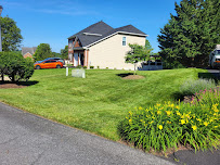 Amigos Landscaping LLC