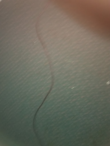 Car Dealer «Budget Car Mart», reviews and photos, 3095 Barber Rd, Norton, OH 44203, USA