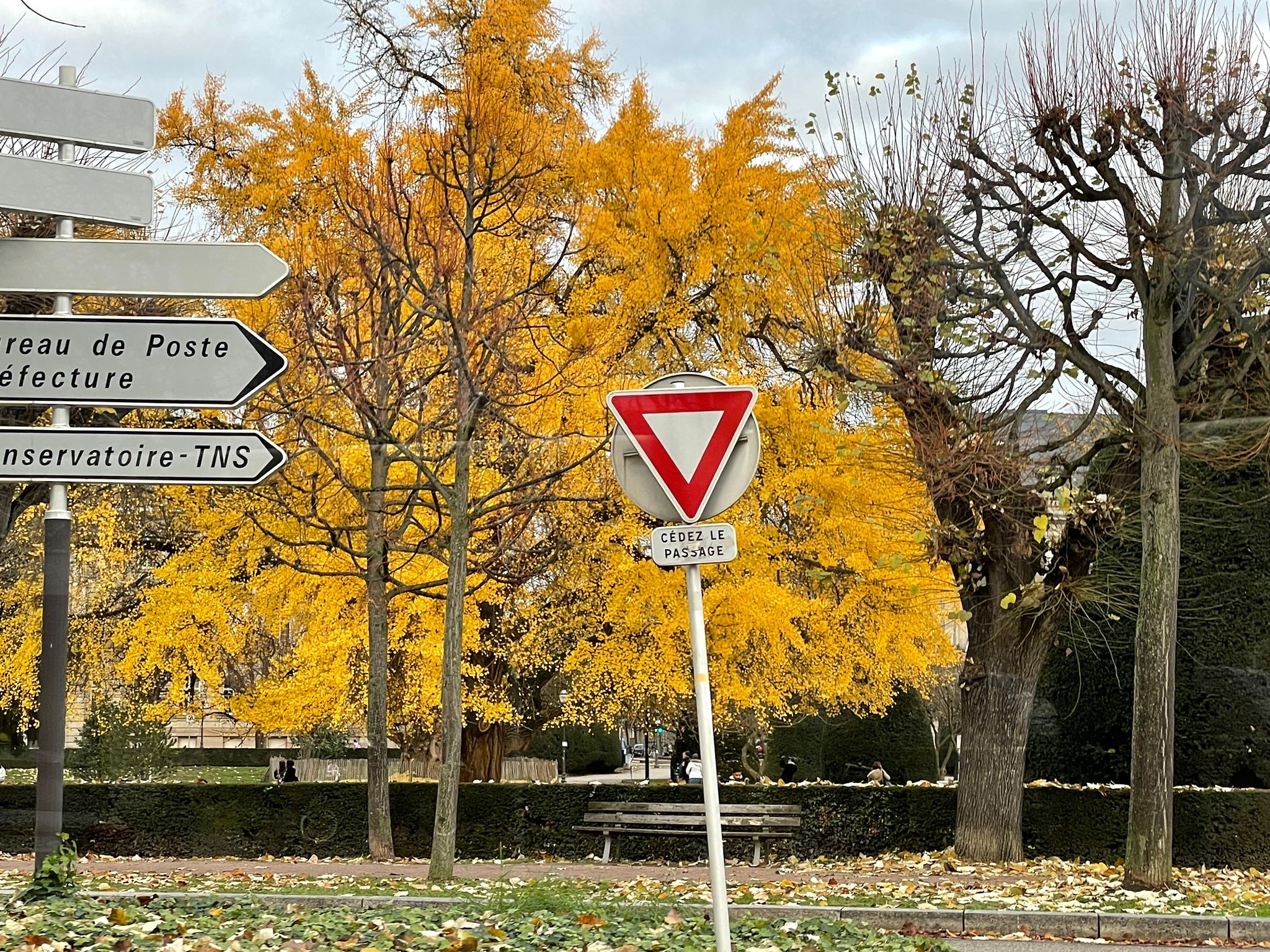 Photo n° 13 de l'avis de Red.a fait le 06/12/2022 à 12:14