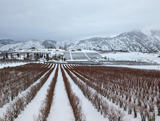 Family Restaurant «Blueberry Hills Farm», reviews and photos, 1315 Washington St, Manson, WA 98831, USA