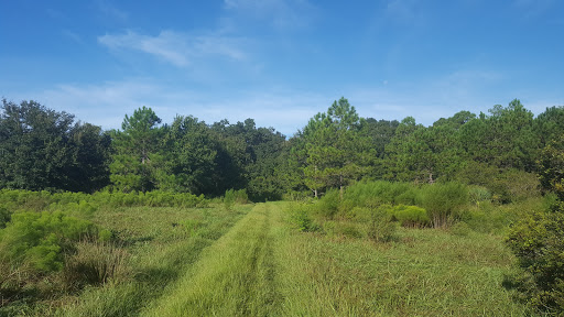 Nature Preserve «Triple Creek Nature Preserve», reviews and photos, 13112 Balm Boyette Rd, Riverview, FL 33579, USA