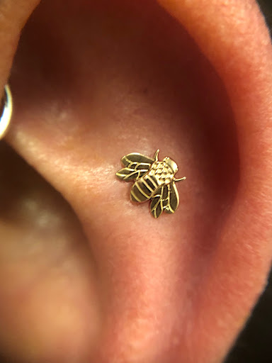 Explore tattoo ideas for men wolf, creative tattoo ideas in Northampton, available at Haven Body Arts Piercing & Tattoo