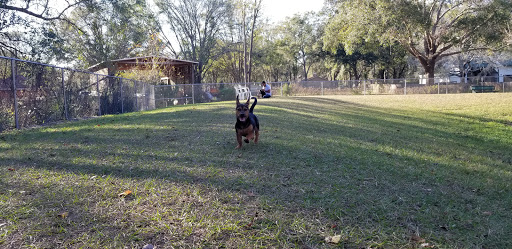 Park «Lutz Dog Park», reviews and photos, 122 1st Ave SW, Lutz, FL 33548, USA