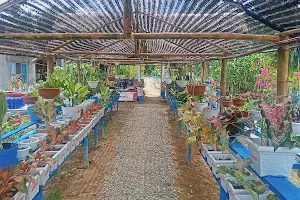 Tugu Rambutan Nursery image