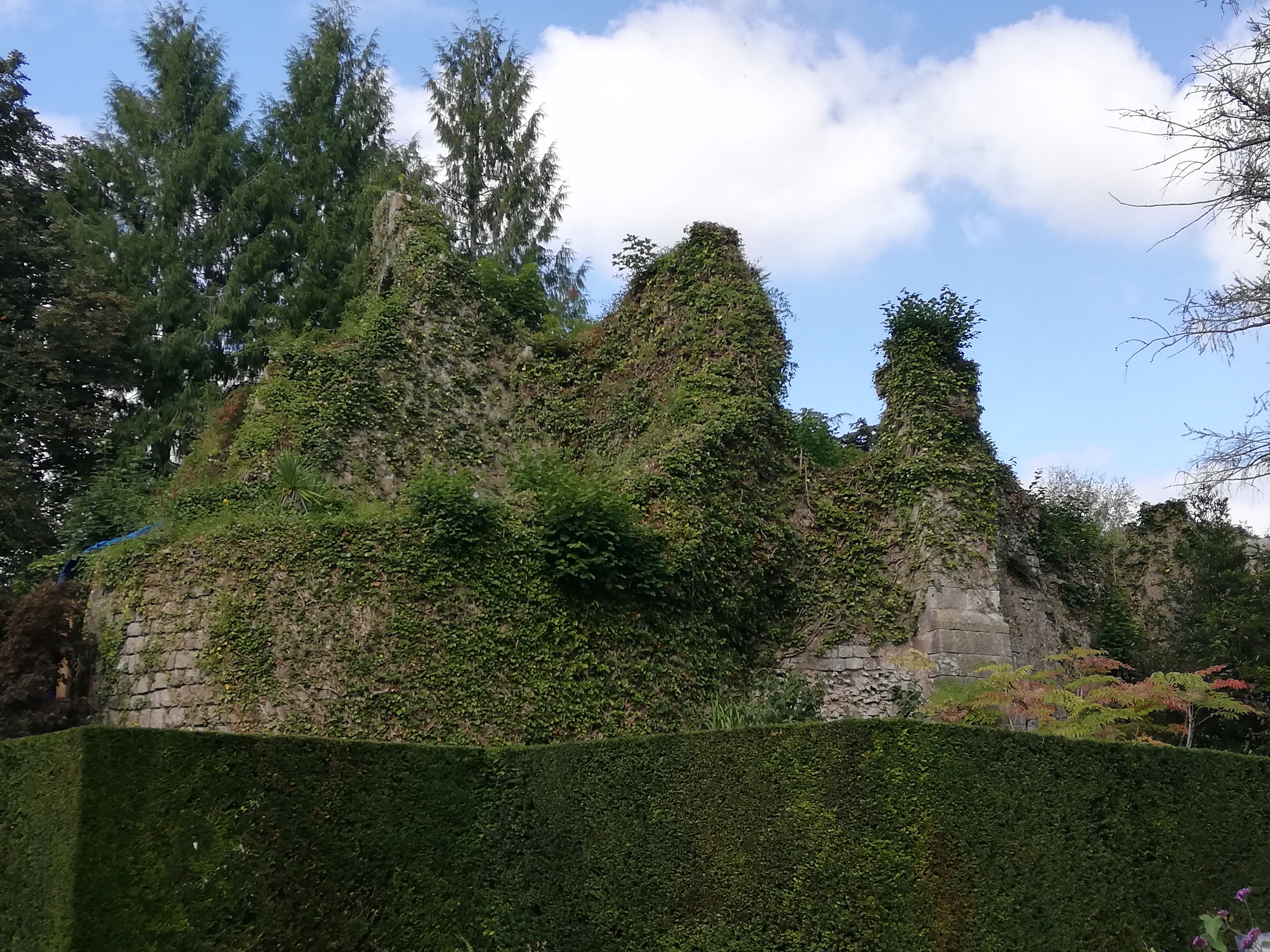 Photo n° 25 de l'avis de Jérôme.r fait le 09/10/2021 à 23:59