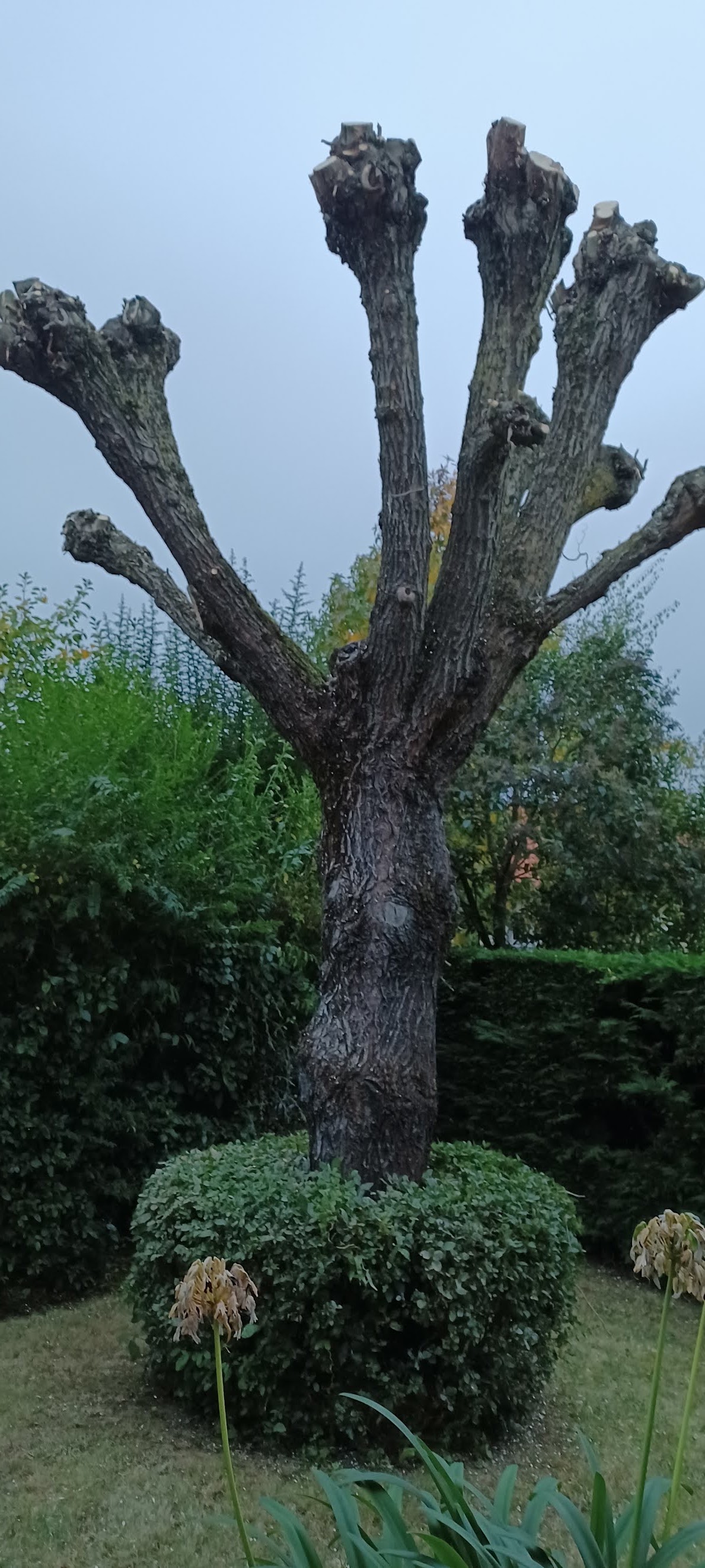 Photo n° 1 de l'avis de Jean.a fait le 29/10/2021 à 17:09