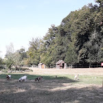 Photo n° 28 de l'avis de Xavier.' fait le 01/09/2019 à 15:24 pour Le Château des Enigmes à Pons