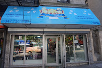 Pet Fashion & Grooming - Photo 2 - Car repair in New York, NY, Manhattan