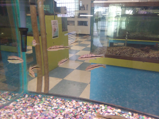 Pet Store «Fish & Pets Ranch», reviews and photos, 10100 Kleckley Dr, Houston, TX 77075, USA