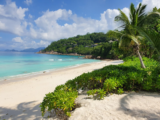 Petite Anse Plajı