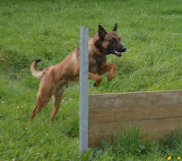 Photo n° 0 de l'avis de Laurent Sauvage fait le 18/04/2022