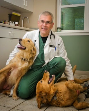 Wintergreen Animal Hospital