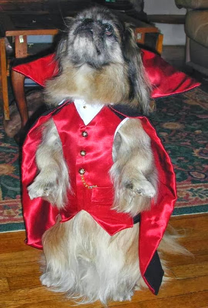 Wraprascal Dog Coats