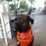 Photo n°1 de l'avis de Francesco.a fait le 21/07/2018 à 18:43 sur le  Plage Soleluna à Lecce