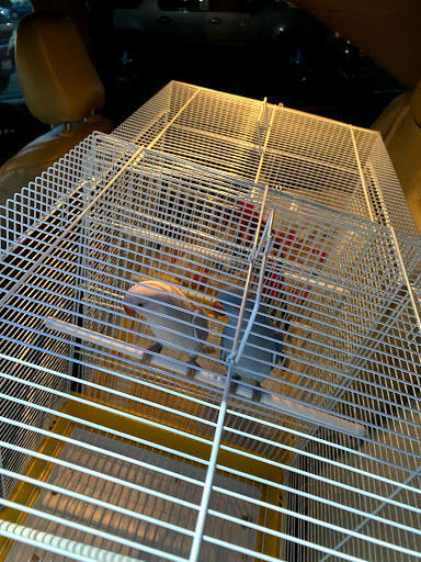 Pet Store «Carters Pet Mart», reviews and photos, 510 N Main St, Manteca, CA 95336, USA