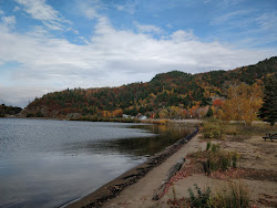 Havilland Shores Beach'in fotoğrafı ve yerleşim