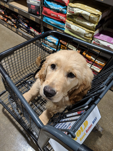 Pet Supply Store «Paws Stop», reviews and photos, 8909 Pendleton Pike, Indianapolis, IN 46226, USA