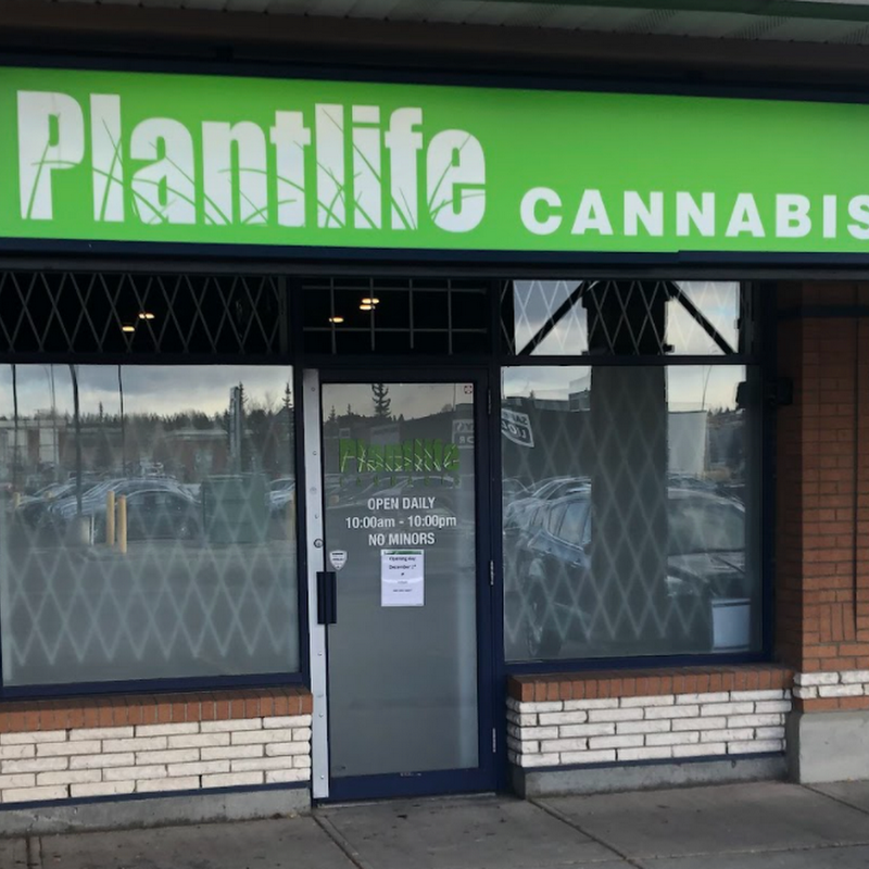 Plantlife Cannabis (Shawnessy)