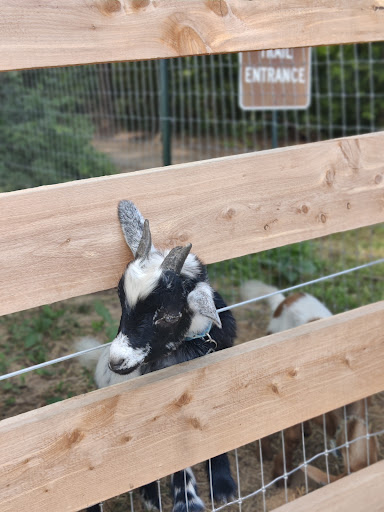 Tourist Attraction «Indiana Caverns», reviews and photos, 1267 Green Acres Dr SW, Corydon, IN 47112, USA