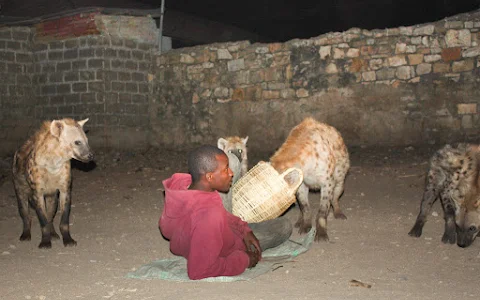 Hyena Feeding Site image