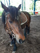 centre equestre domaine des argentieres Biganos