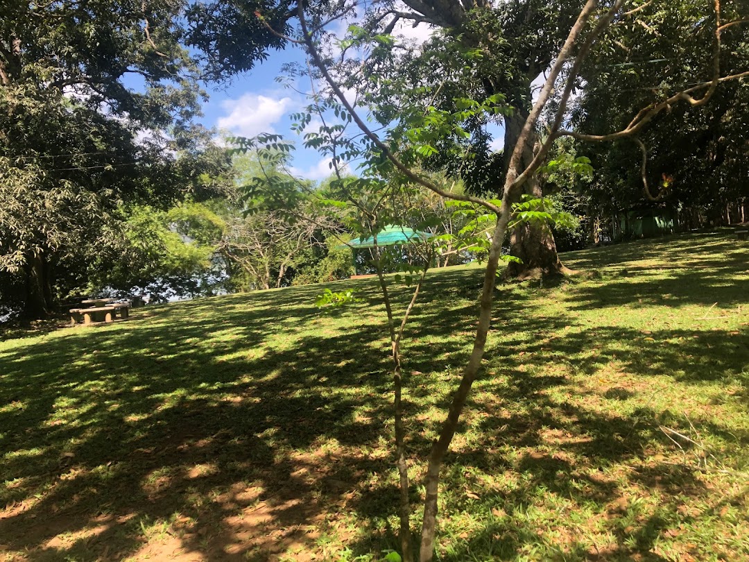 Cotui, Dominik Cumhuriyeti